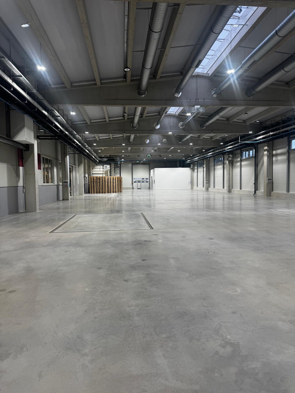 Niko Die Neue Halle Jan 2025