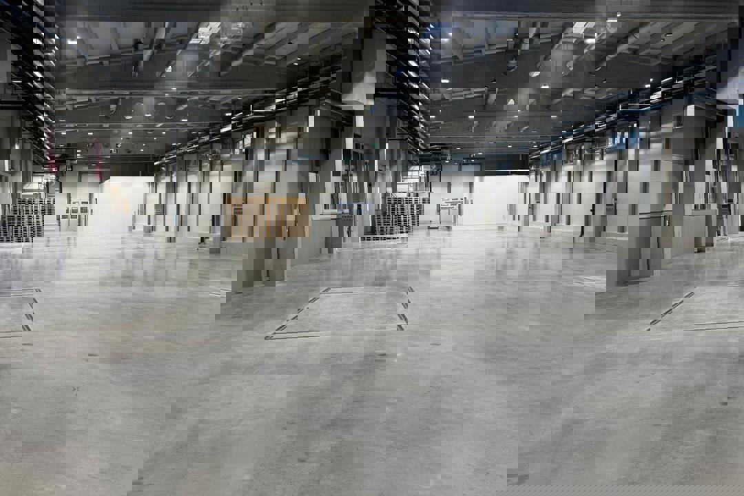 Niko Die Neue Halle Jan 2025