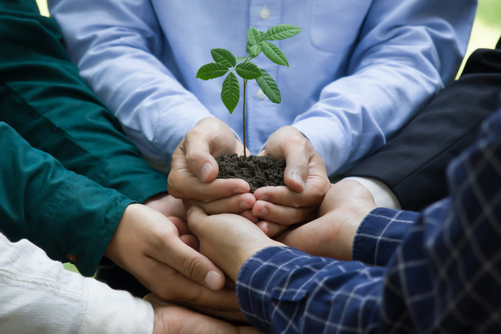 Več parov rok skupaj drži kepo zemlje, iz katere raste mlad zelen poganjek, kot simbol skupnega prizadevanja za rast in trajnost.