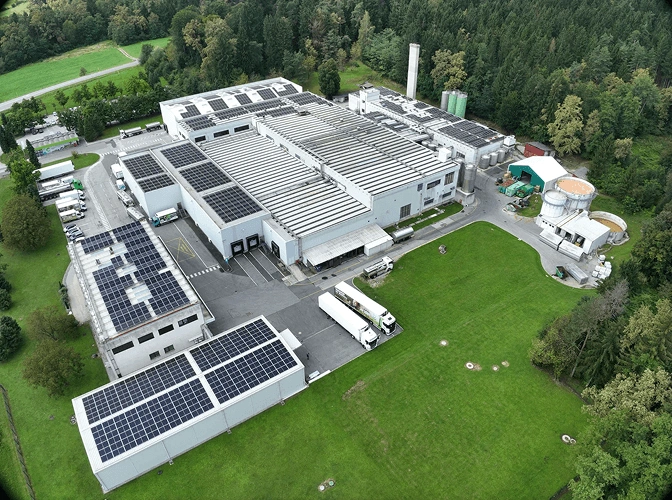 Mlekarna Celeia Animirana Pasica Podjetje Slika Podjetja