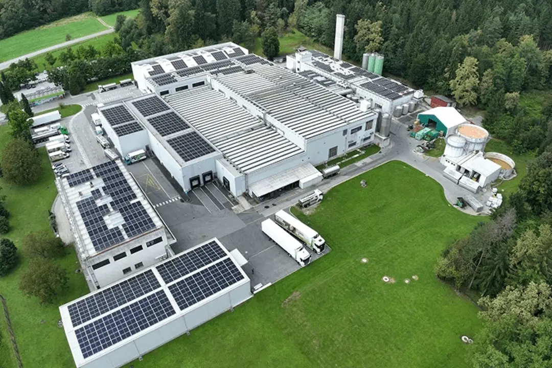 Mlekarna Celeia Animirana Pasica Podjetje Slika Podjetja